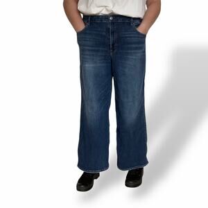 AE American Eagle Stretch\ Low Rise Baggy WIde Leg dark wash Jeans 18